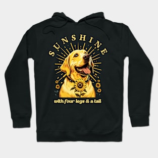 Golden Labrador Sunshine Hoodie